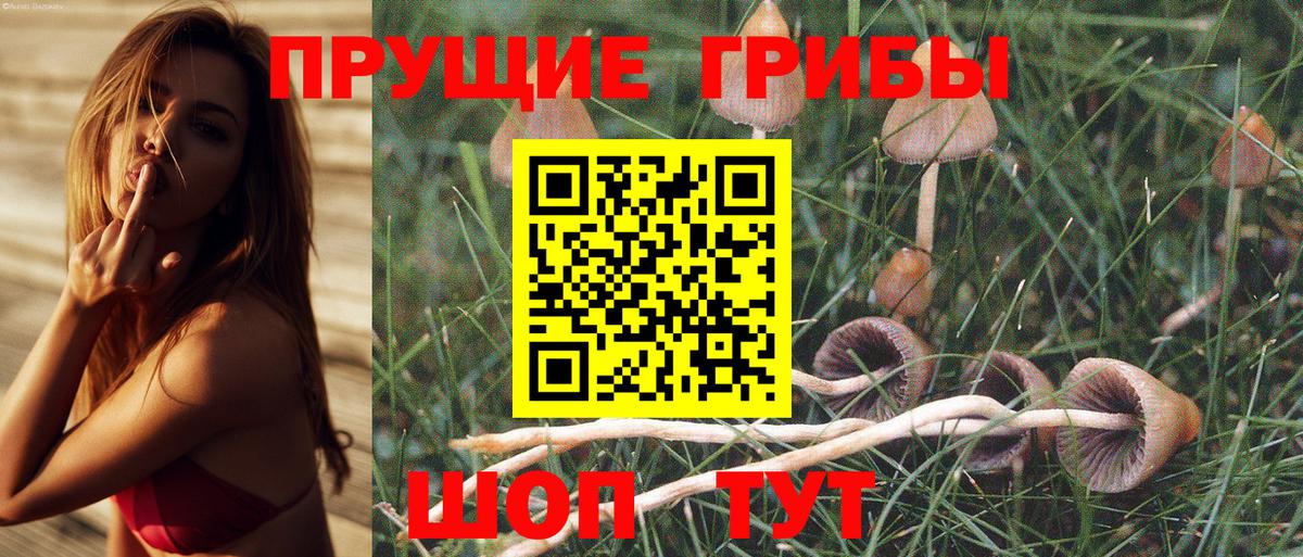 Псилоцибиновые грибы прущие грибы  купить наркоту  Ижевск  Вход с VPN 