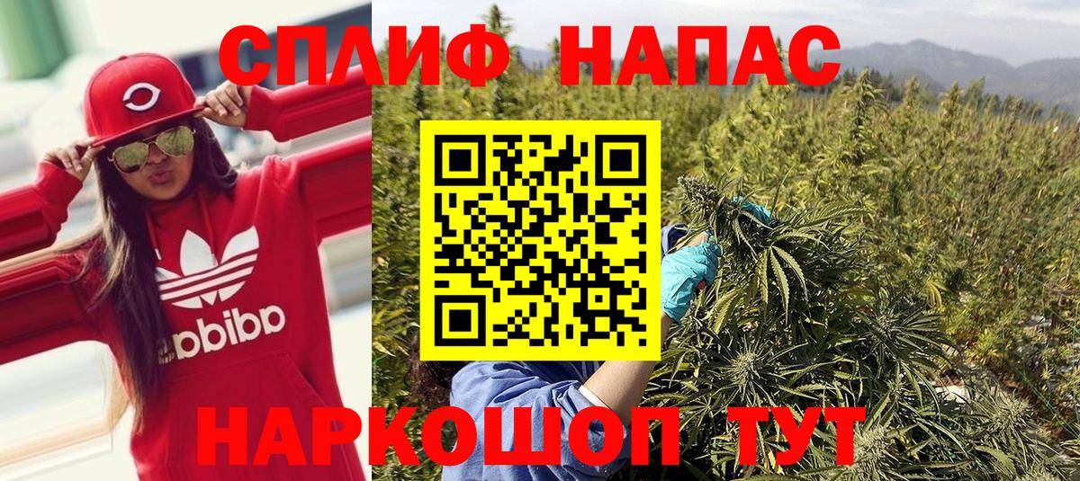 Шишки марихуана марихуана Ижевск